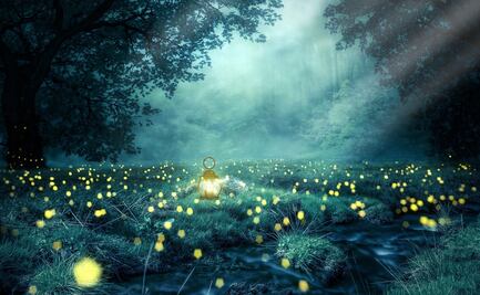 La tecnología OLED se pone a prueba en el Santuario de las luciérnagas