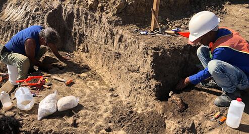 Descubren sitio prehispánico del año 900 d.c. cerca del puerto de Mazatlán 