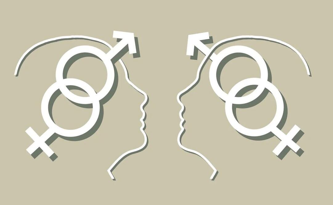 Ley fue criticada por "pisotear los derechos de los padres de familia y elimina la expresión religiosa". Foto: Pixabay