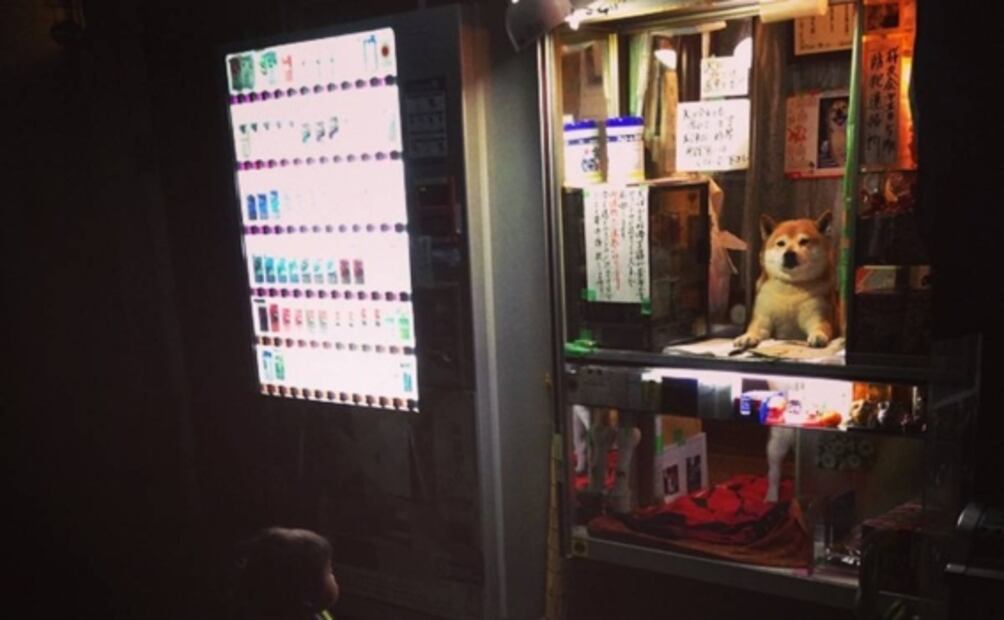 Esta es la historia del perrito que atiende una tienda en Japón
