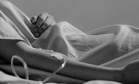 Detectan tercer caso de miasis por gusano barrenador en humanos; todos los pacientes son de Chiapas