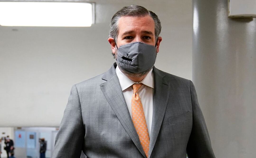 Ted Cruz, senador republicano. Foto: AP