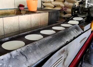 Cierra Cofece investigación en mercado de harina de maíz