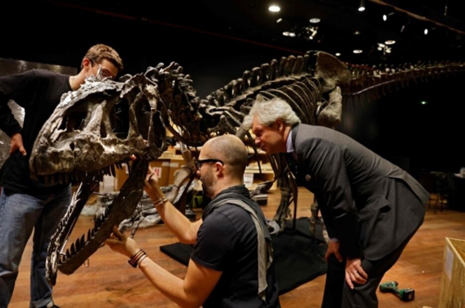 Subastan esqueleto del "abuelo" del T-Rex por millones de dólares