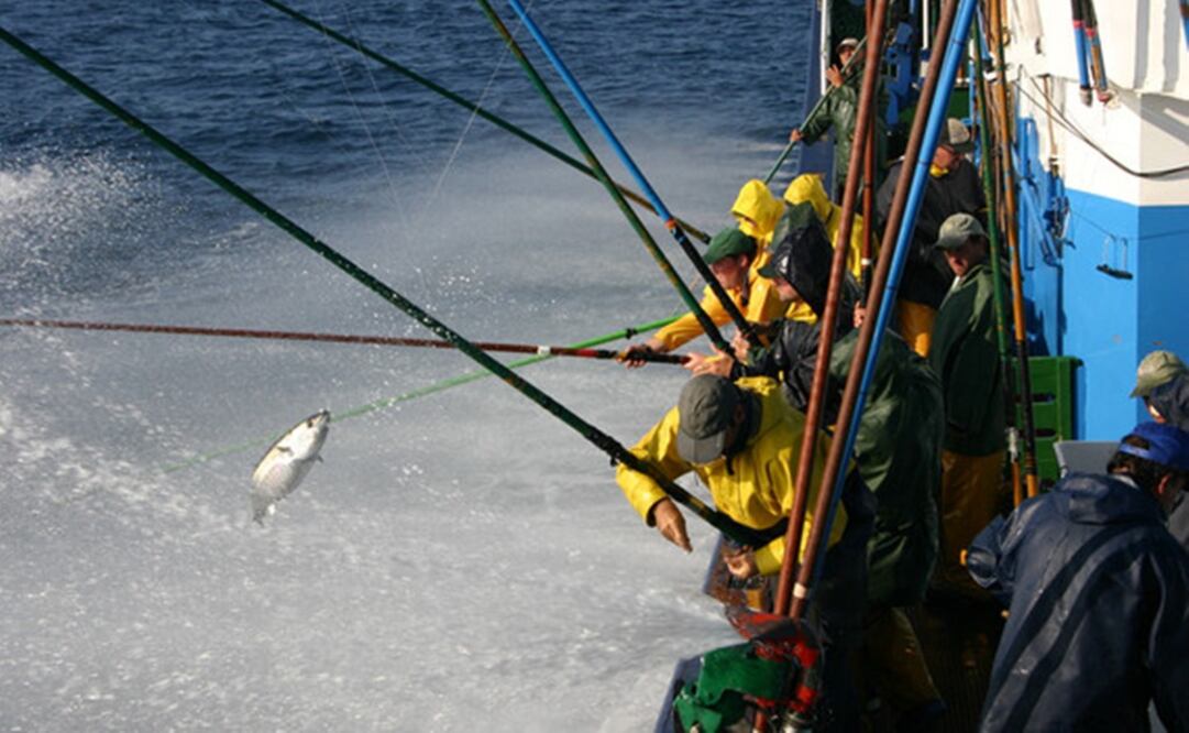 Pesca de atún / Iñigo Onandia (AZTI)
