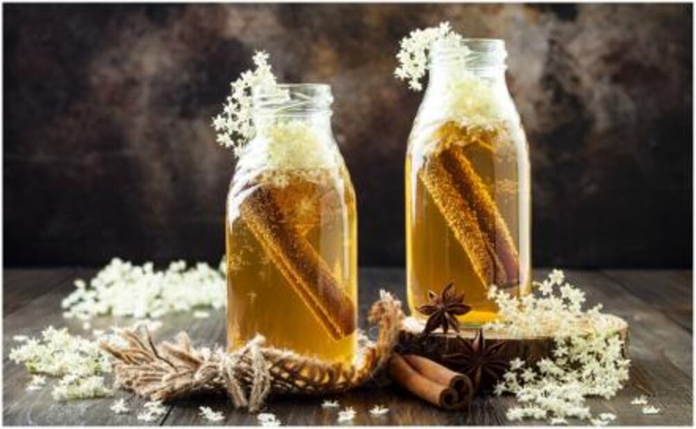 El elixir de la vida existe y se llama Kombucha