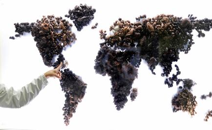 Singapur espera que países de Alianza del Pacífico ratifiquen su ingreso