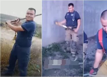 Denuncian penalmente a bomberos por asesinar a golpes y hachazos a perritos en Monclova, Coahuila