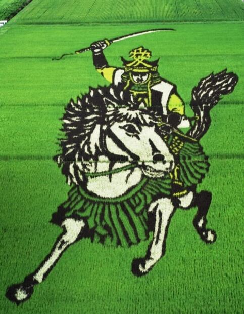 10 cosas que solo suceden en Japón