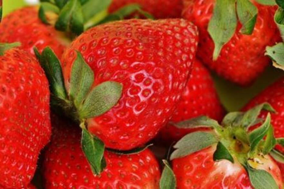 ¿Qué comer si tienes hígado graso?