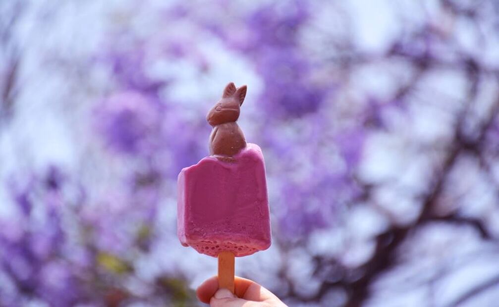¿Cómo llegaron las jacarandas a México?. Foto: Facebook La Pantera Fresca