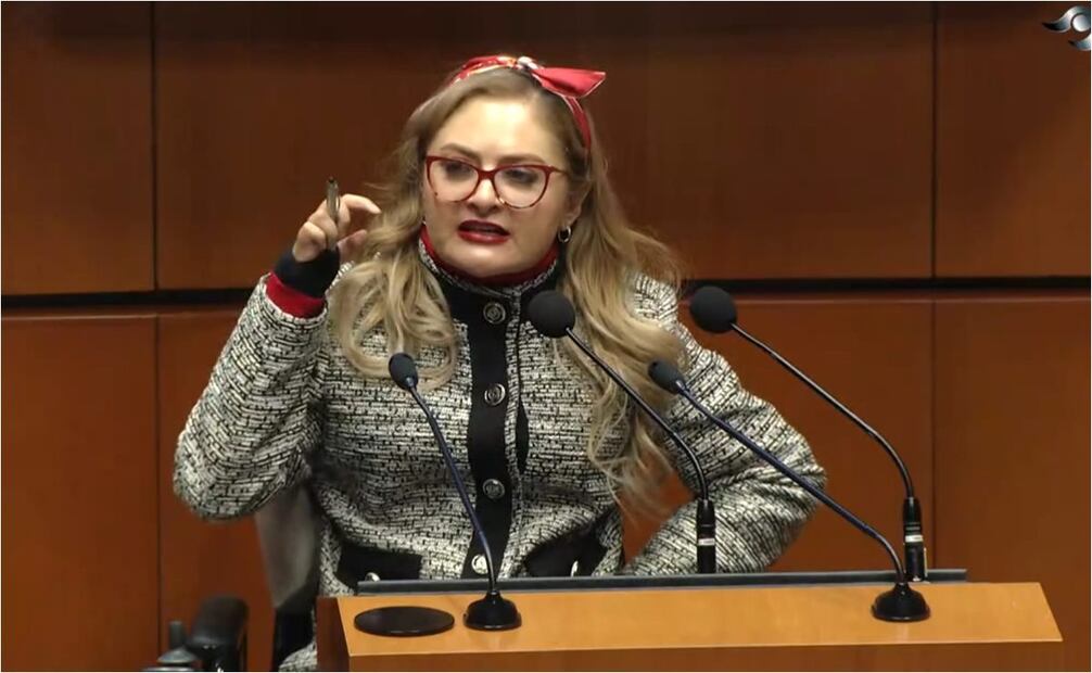 Claudia Anaya, senadora del PRI. Foto: Captura de pantalla
