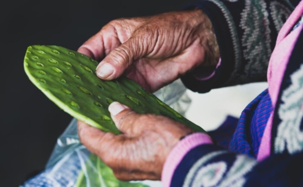 ¿Pero qué tal anoche? reduce los malestares de la cruda con nopales