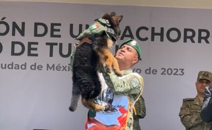 ¡Arkadas es el nombre del cachorro turco, nuevo integrante del binomio canino de Sedena!