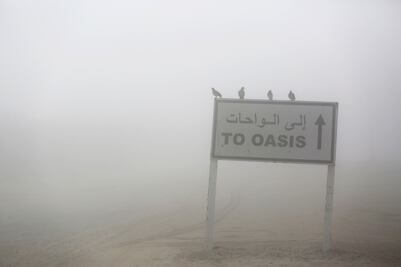 Niebla "devora" a los Emiratos Árabes; retrasa vuelos y causa accidentes