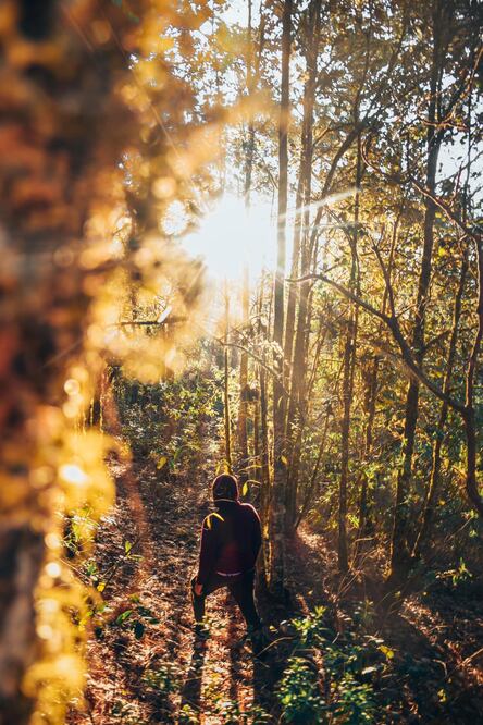 Foto: Cabañas del Bosque de los Duendes y las Hadas (tomada de Facebook)