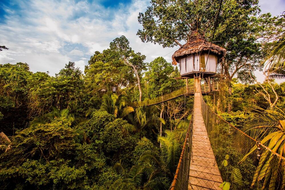Hospédate en el Treehouse Lodge y observa  desde sus terrazas guacamayas y delfines rosados. (Foto: Cortesía Treehouse Lodge) 