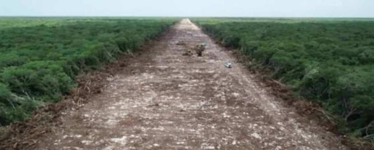 Guacamaya Leaks revelan riesgo de colapso en tramo 5 del Tren Maya