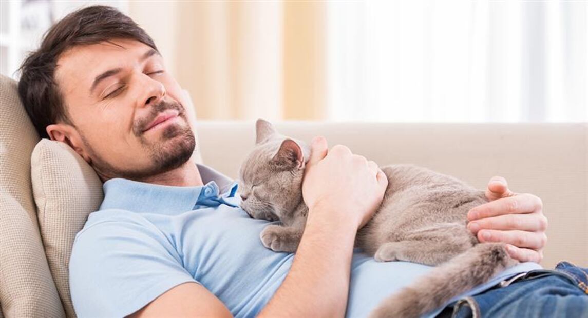 Conocer la conducta de tu gato es importante. Foto: Freepik