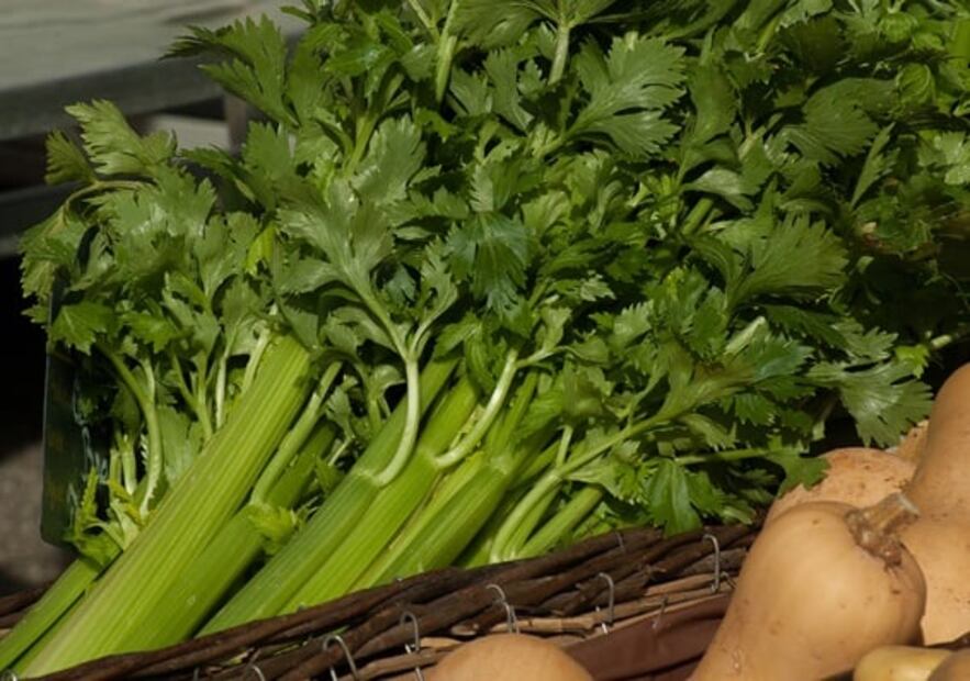 5 verduras de hoja verde que debes comer esta temporada
