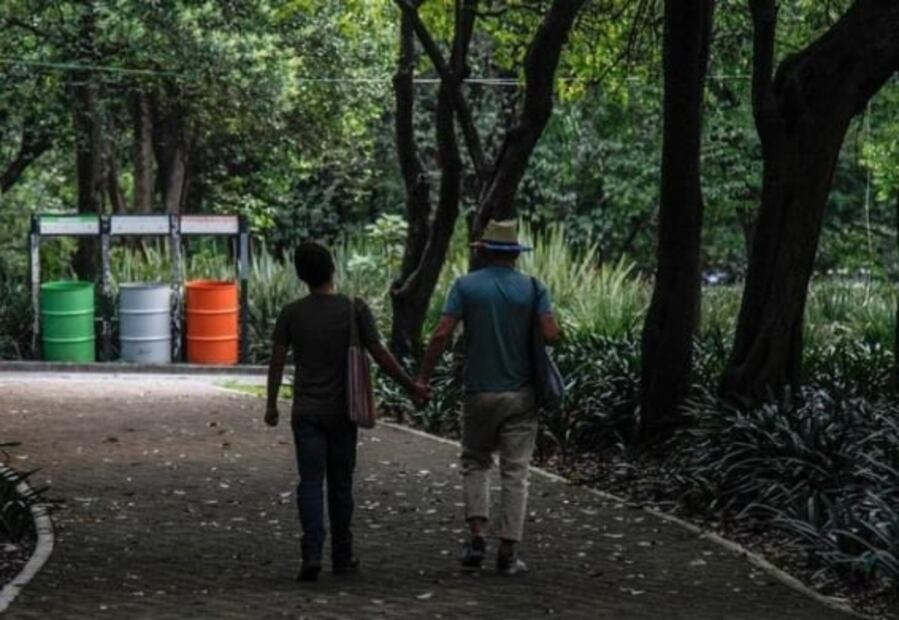 El primer picnic nocturno en Chapultepec es este fin de semana