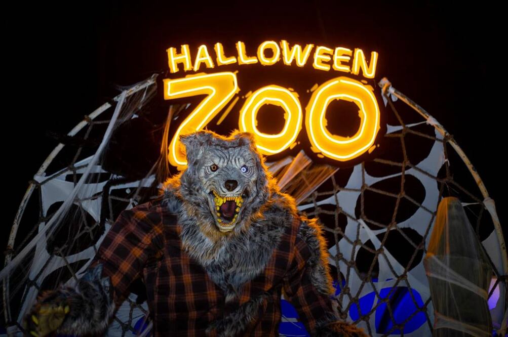 Foto: Halloweenzoo
