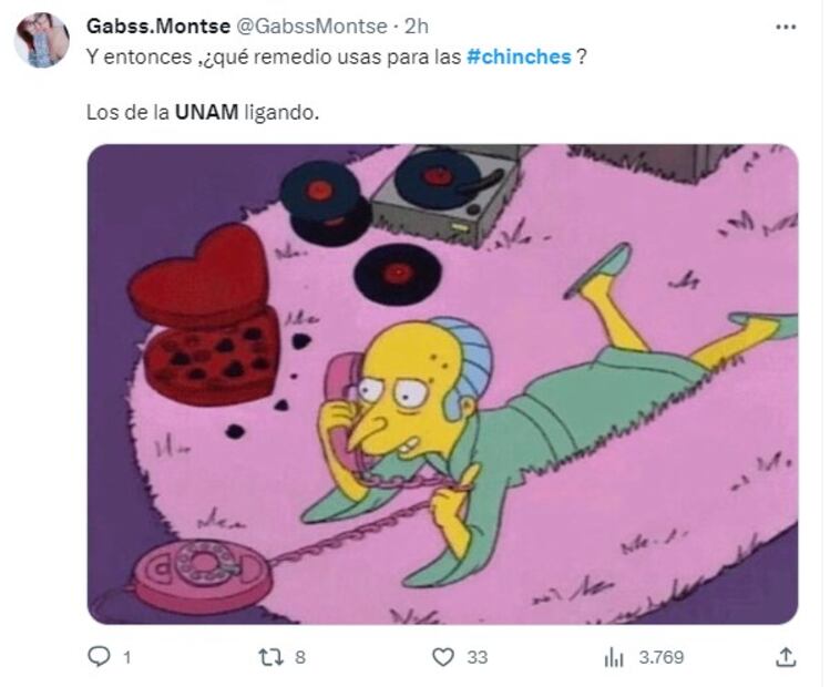 Meme sobre chinches. Foto: Twitter