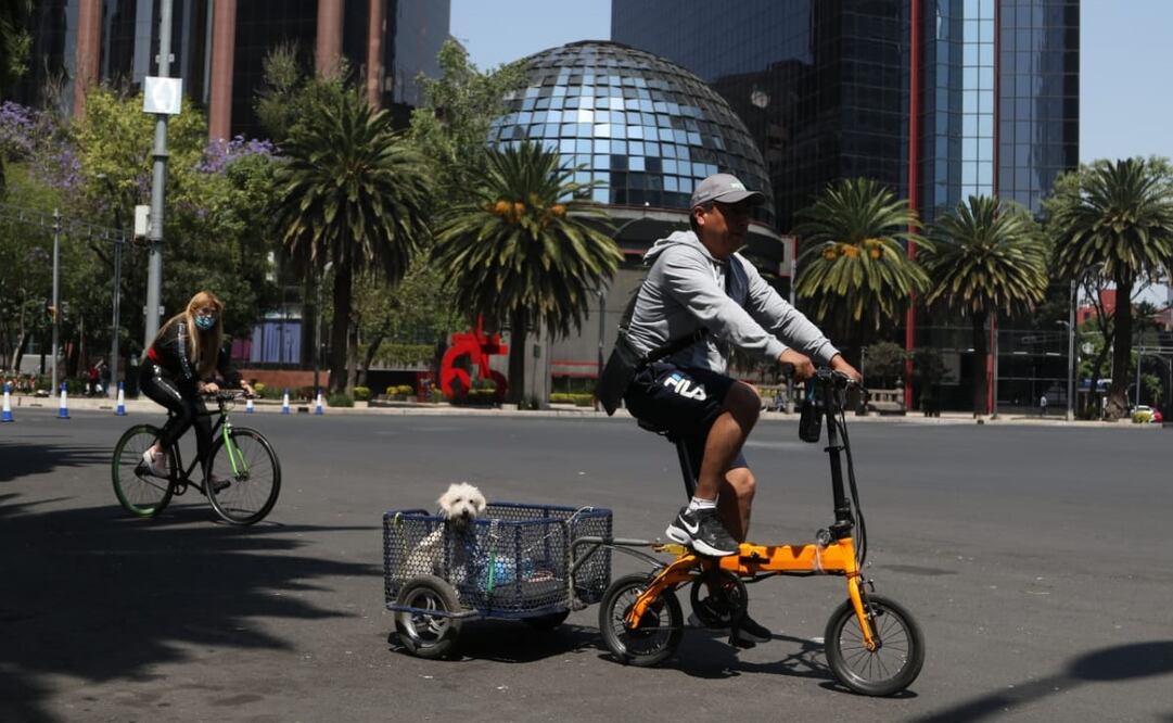 La ruta del Paseo Dominical “Muévete en Bici” de este 13 de abril abarcará 61 kilómetros. Foto: especial/ Archivo