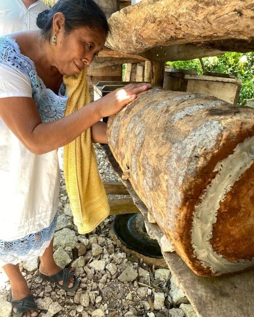 Descubre los beneficios de la miel melipona