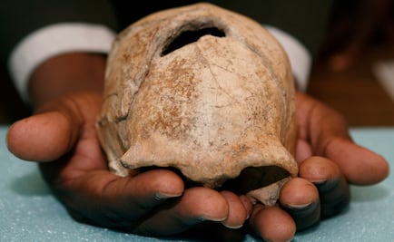 La flojera ayudó a la extinción del Homo erectus