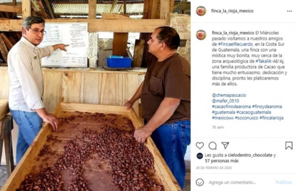 Uno de los mejores cacaos de Cocoa of Excellence de este año es chiapaneco