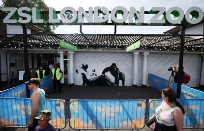 Retiran la pintura de Banksy del zoológico de Londres para "salvaguardarla"
