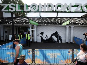 Retiran la pintura de Banksy del zoológico de Londres para "salvaguardarla"