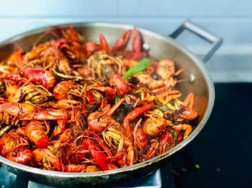 La importancia de incluir insectos a tu dieta