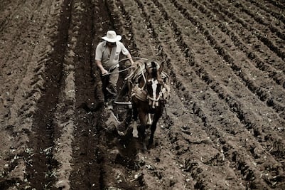 Zonas rurales de Barbados, Belice y Panamá con mejor conectividad que el campo de México: IICA