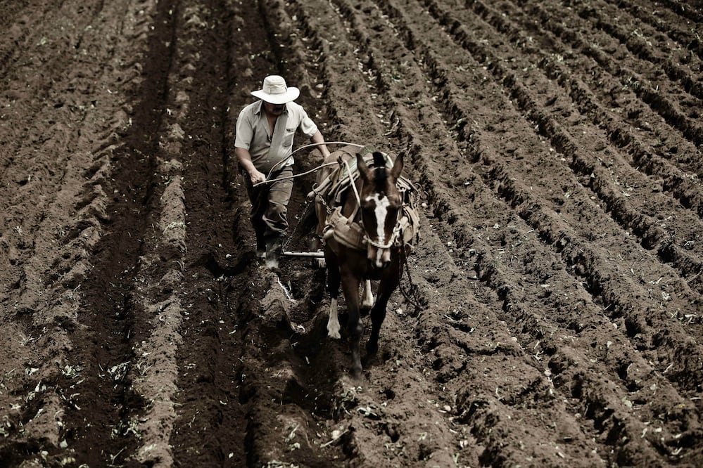 FOTO: EFE / Ilustrativa