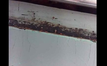 Piden fumigar el Metro tras viralizarse supuesta presencia de chinches