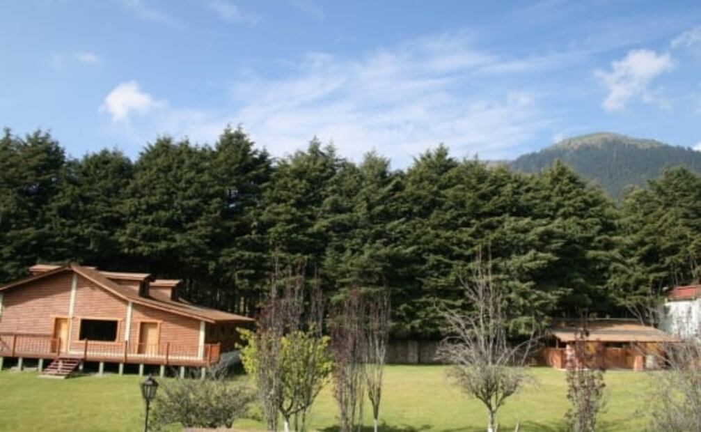 5 cabañas a una hora o menos desde CDMX