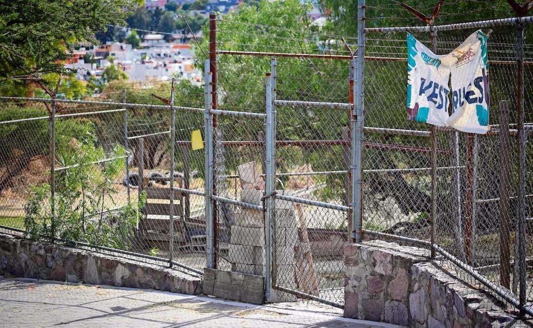 En una inspección realizada a finales de noviembre, la Profepa descubrió la ausencia de ocho antílopes, dos avestruces y un primate. Foto: Luis Camacho | El Universal