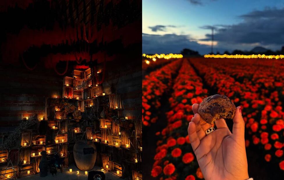 Fotos: Facebook Campo Iluminado San Antonino “Tierra de las Flores”