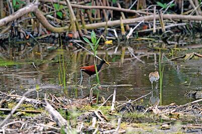 Escalan protestas por daños en Tajamar 
