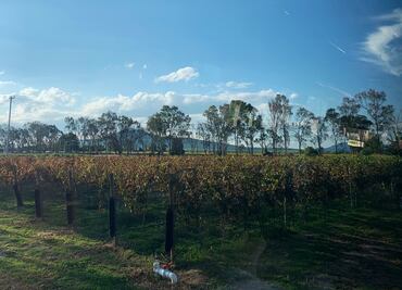 El Refugio: una bodega con alma otomí