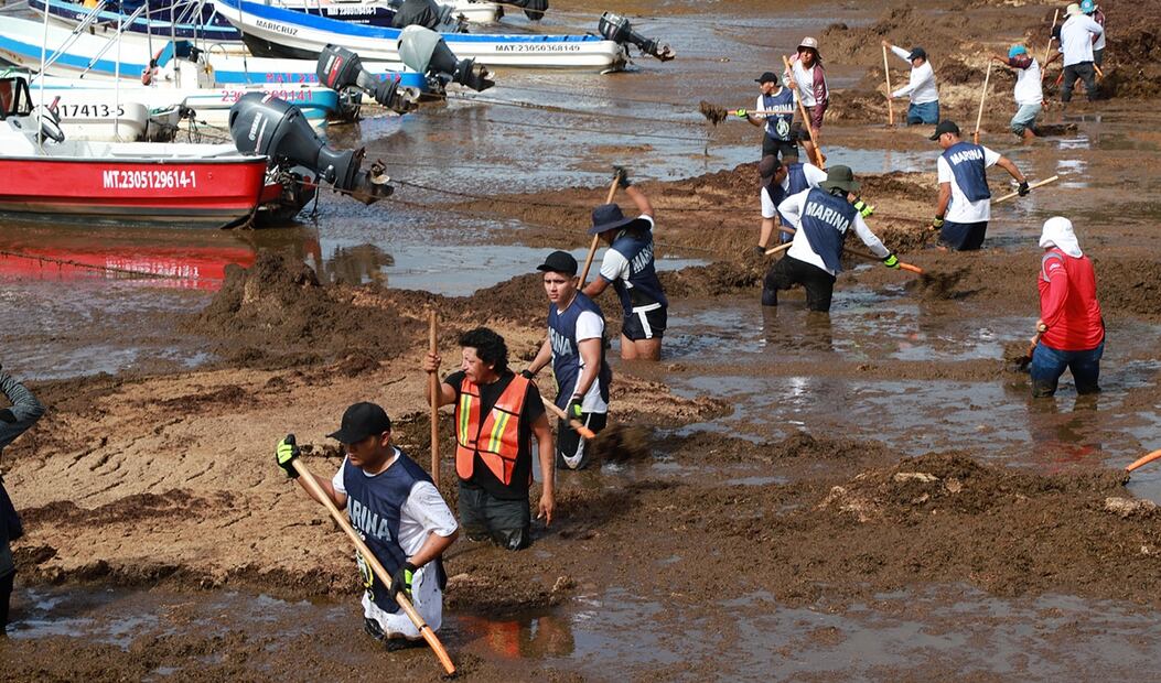 Elementos de la Marina y voluntarios participan en la recolección de sargazo en Playa del Carmen, Quintana Roo, el 4 de junio de 2025. La actual temporada de sargazo en el Caribe Mexicano se perfila como una de las más intensas de los últimos años. Foto: EFE