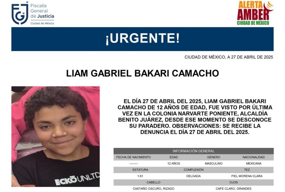 Ficha de búsqueda de Liam Gabriel Bakari Camacho de 12 años de edad. Foto: Especial.