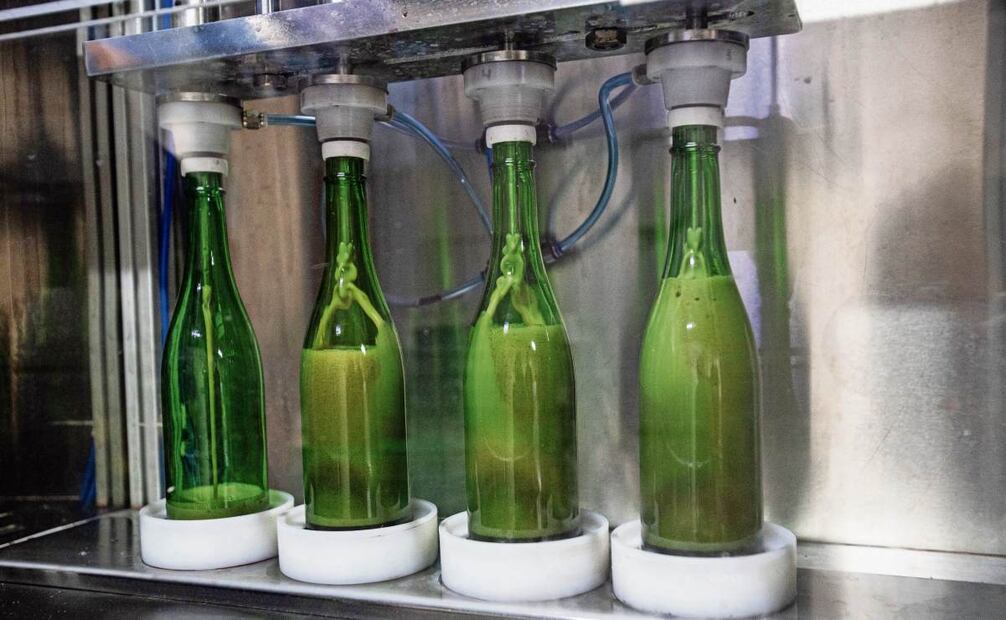 Manuel y sus trabajadores llenan de cuatro en cuatro las botellas con el líquido fermentado del año pasado. Se estima que la producción de 2025 sea de 6 mil litros de sidra. Foto: Gabriel Pano / EL UNIVERSAL