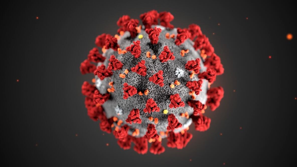 Ilustración del SARS‑CoV‑2, el virus que causa covid-19. Las células T reconocen fragmentos de los aminoácidos que componen el virus. Imagen: Science Photo Library