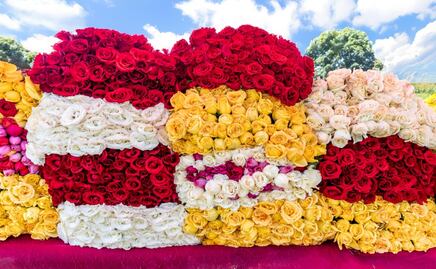 Productores de rosas en Morelos se alistan para el 14 de febrero; promueven el consumo local