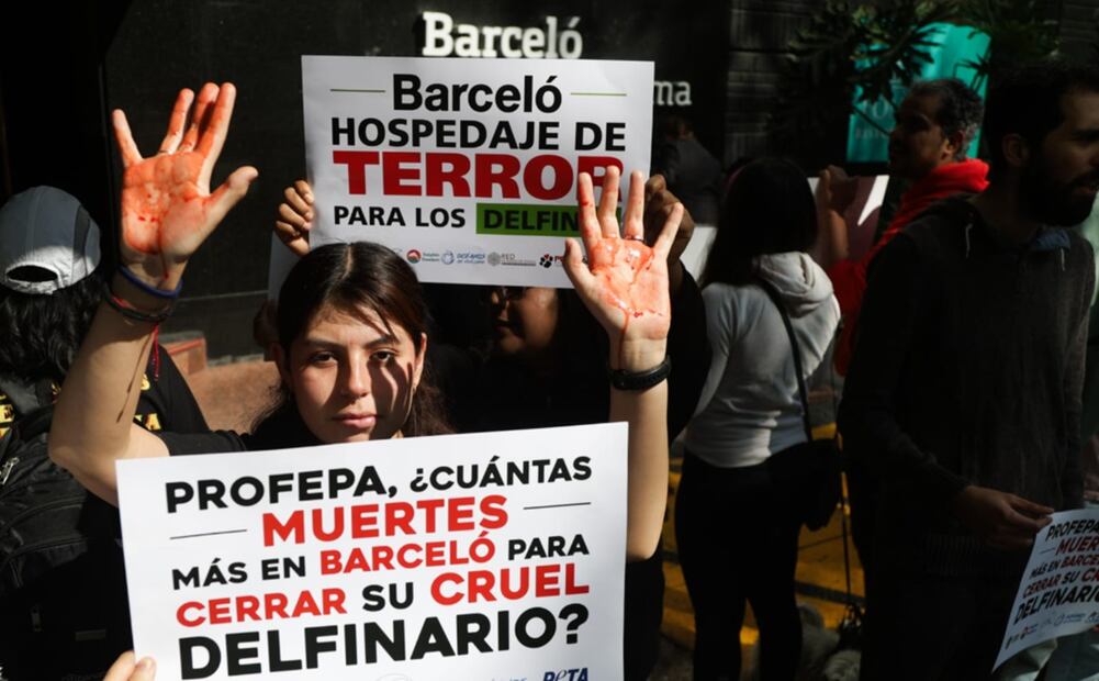 Activistas en Barceló Reforma pidieron a la titular de la Profepa cerrar el delfinario de Barceló Riviera Maya, tras el maltrato que se observa en un video que circuló en redes sociales. Foto: Carlos Mejía/EL UNIVERSAL