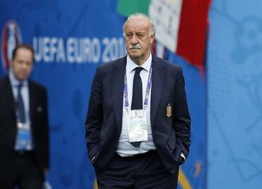 España puede hacer un gran mundial: Del Bosque