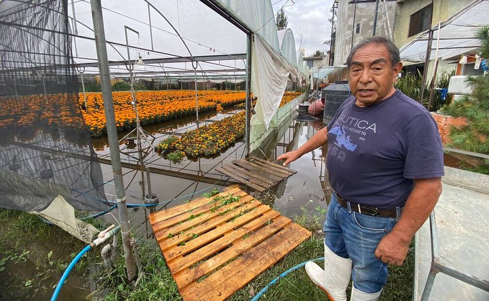 Invernadero de Cristobal García Castillo en Xochimilco inundado tras las lluvias del 6 de octubre de 2024 / Foto: Juan Carlos Williams